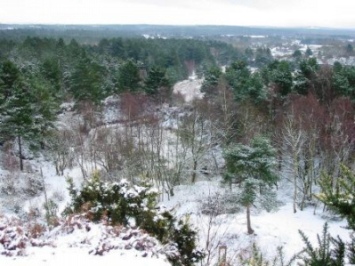 Blick vom höchsten Punkt der Gemarkung Verwood